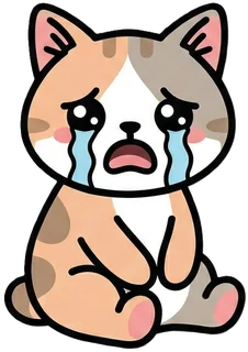 Dui crying because the budget is gone